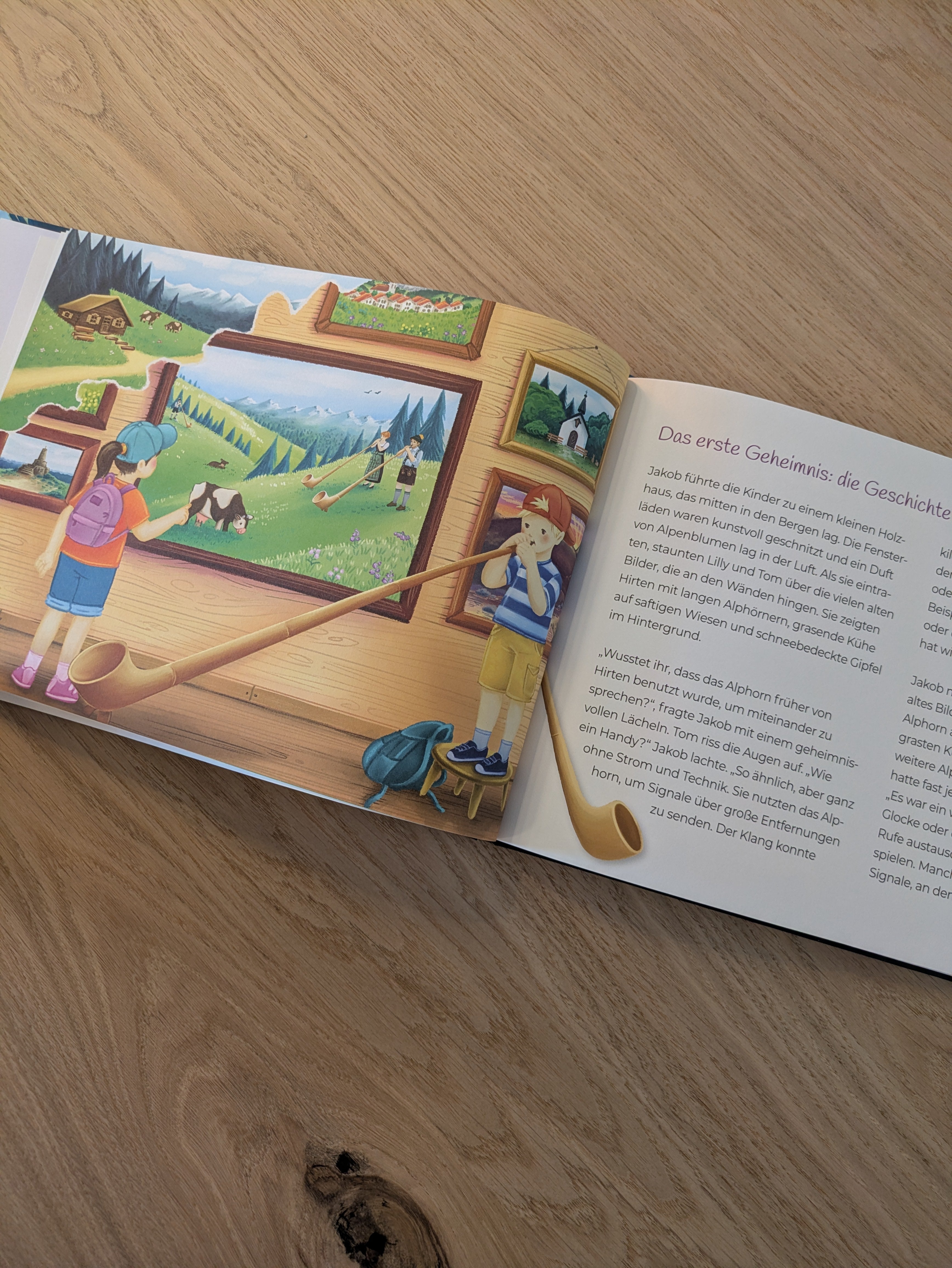 Das Geheimnis des Alphorns - Buch