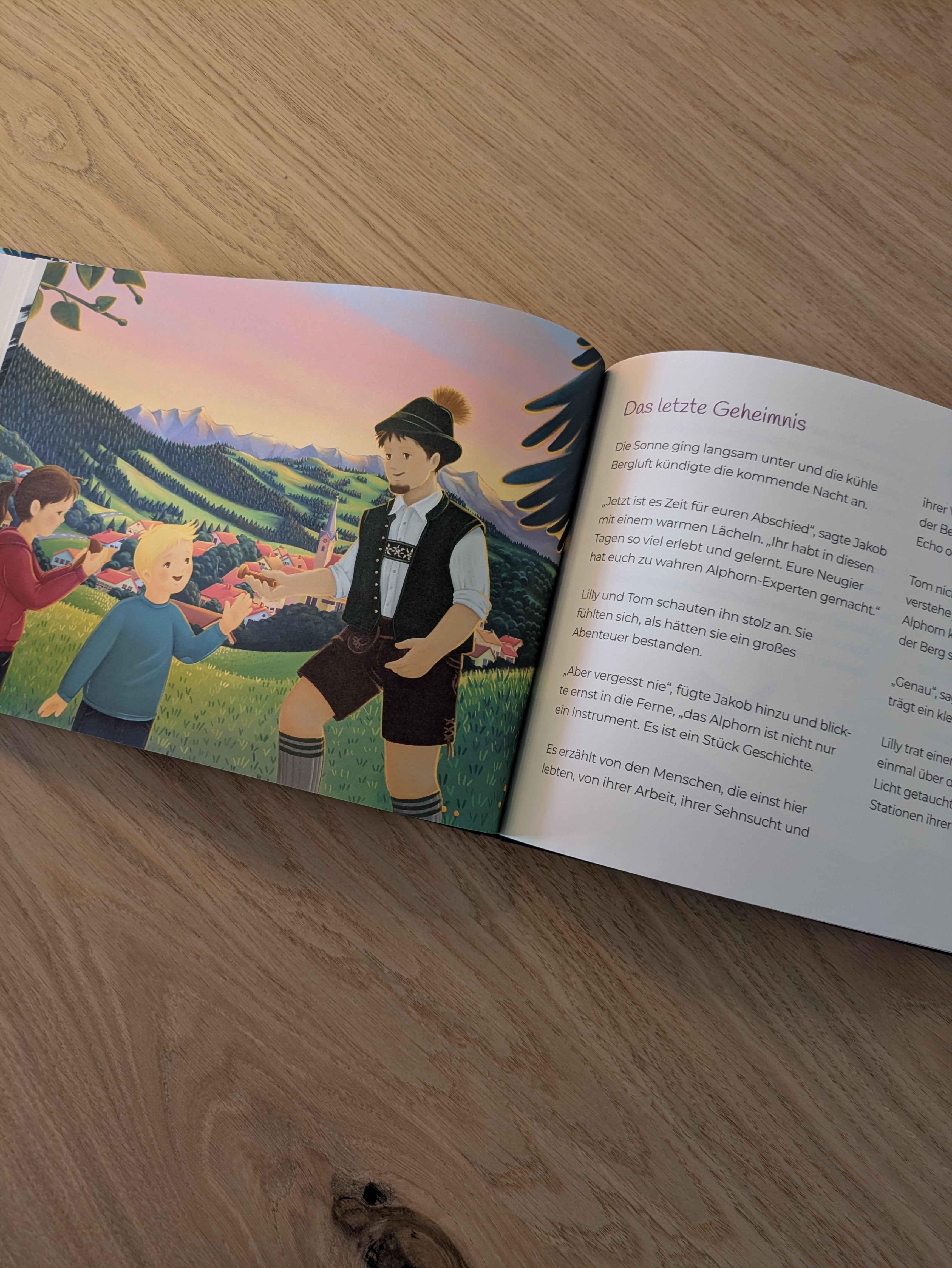 Das Geheimnis des Alphorns - Buch